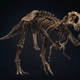 The Tyrannosaurus rex skeleton named Stan.